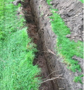tree roots removal