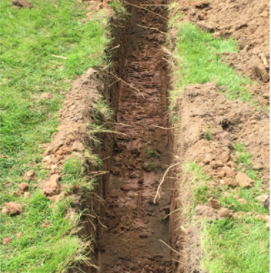 tree roots removal