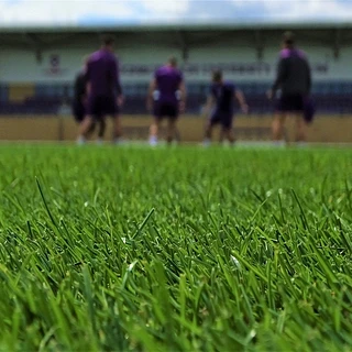 SIS Grass Hybrid pitch loughborough university