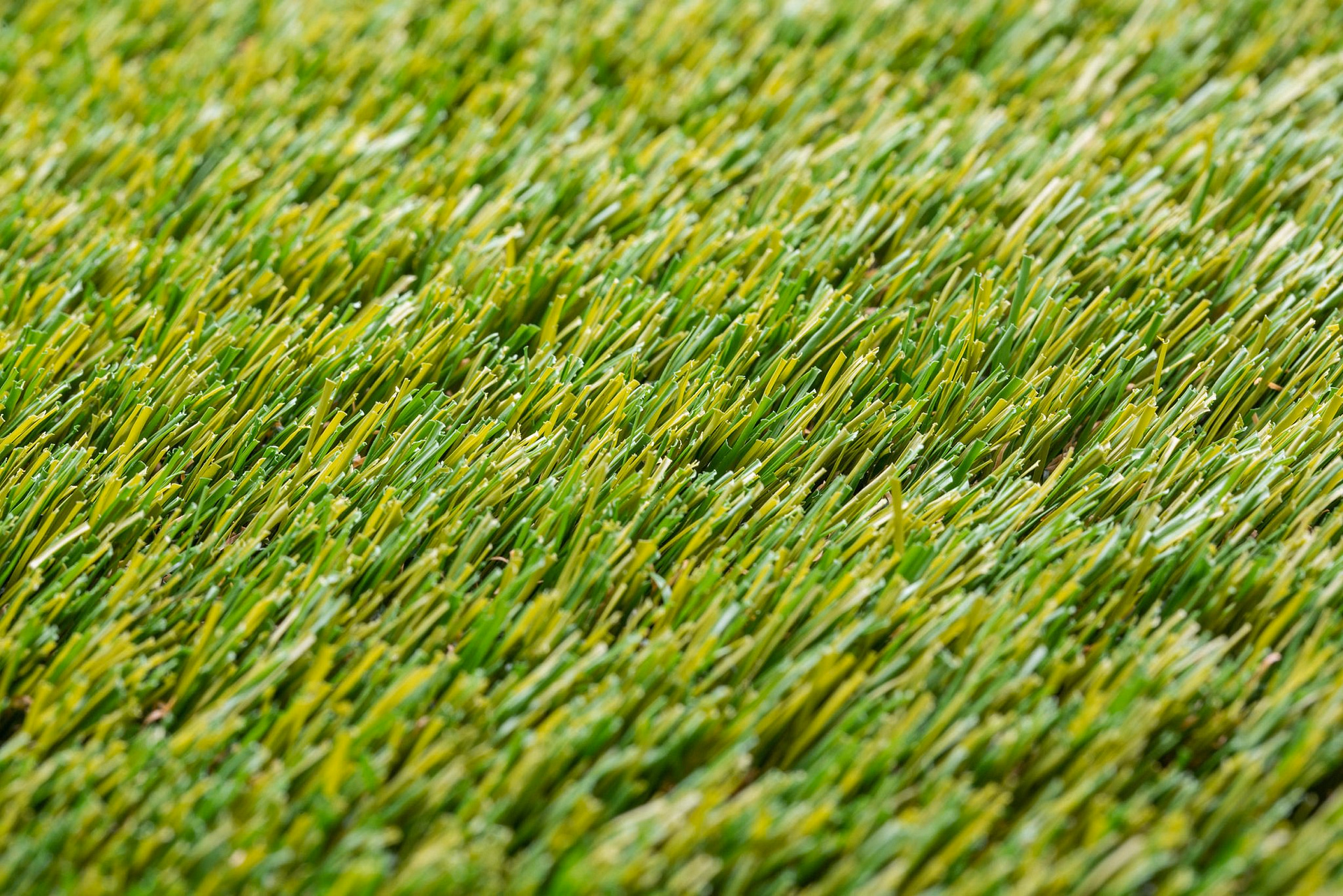 SIS Signature grass