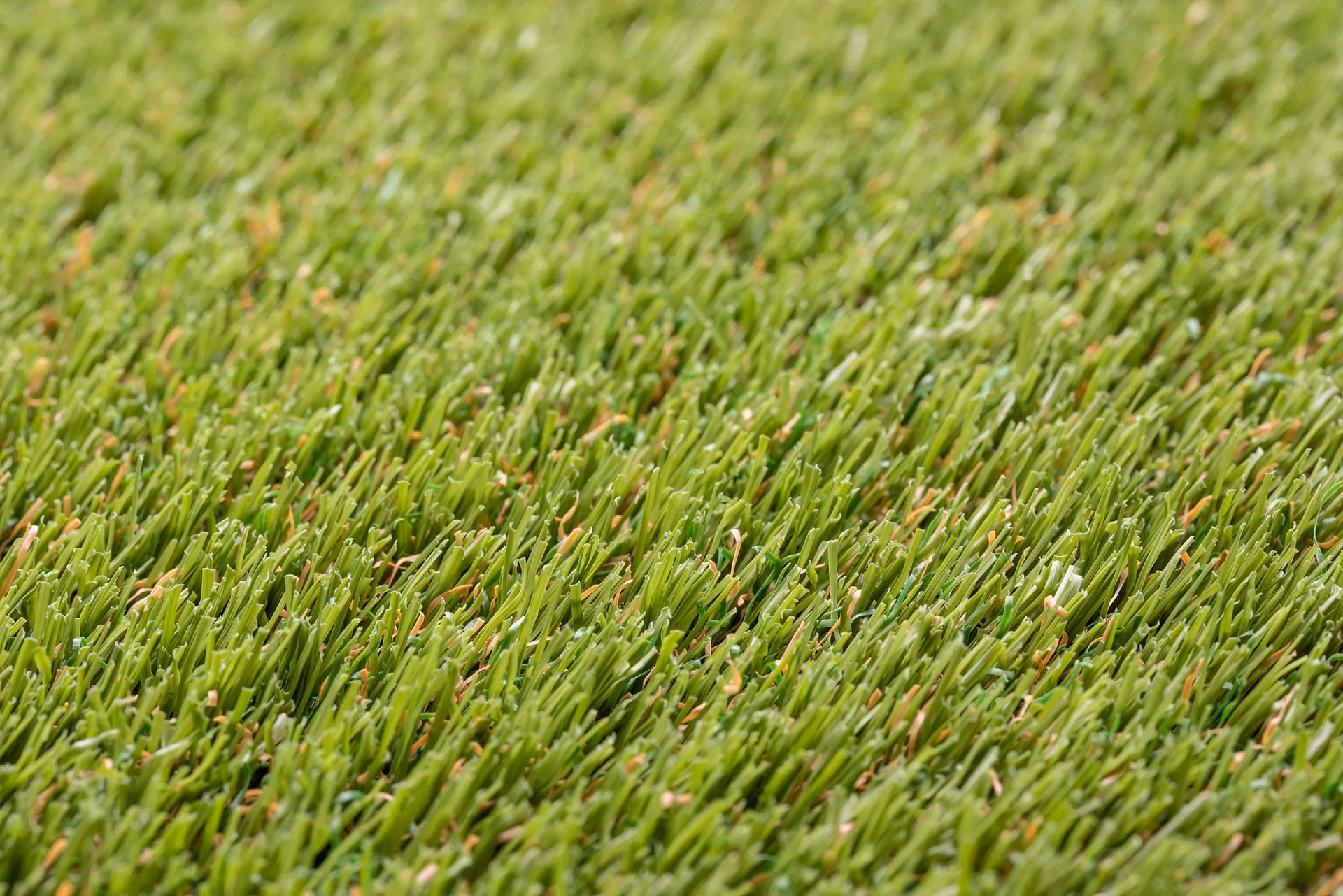 SIS deluxe carpet