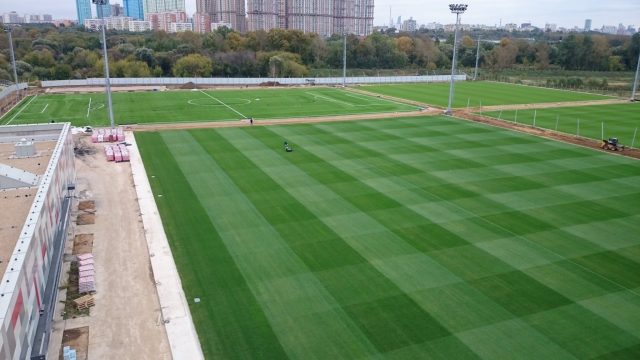 Spartak, Moscow, synthetic pitch, artificial turf, natural turf pitch
