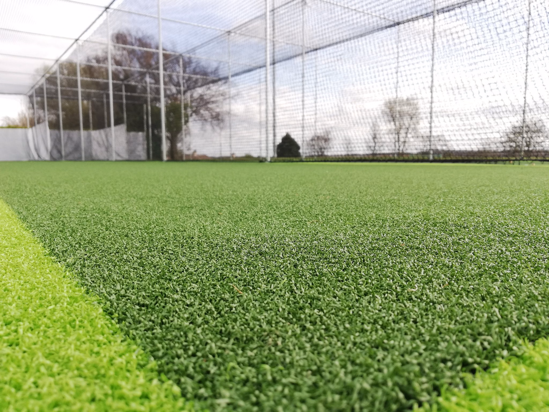 synthetic cricket wicket