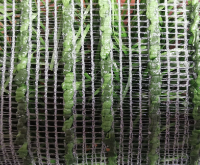 hybrid grass carpet system