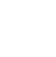 newcastle falcons logo