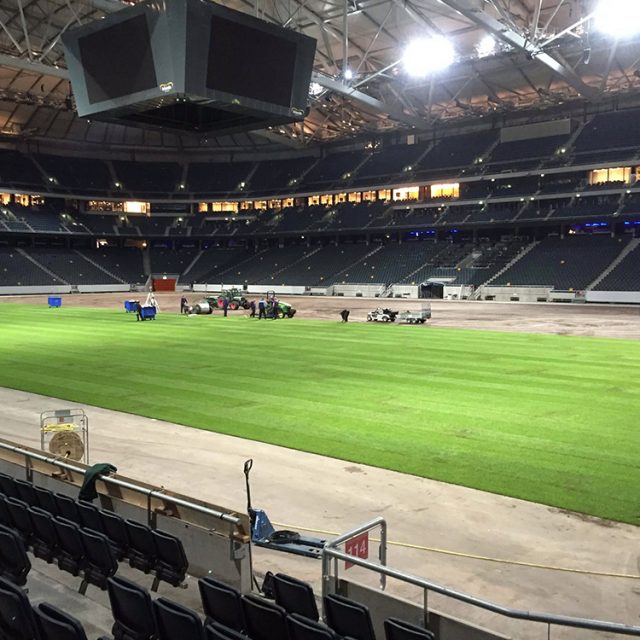 Friends Arena, Natural turf, pitch, grass, sports