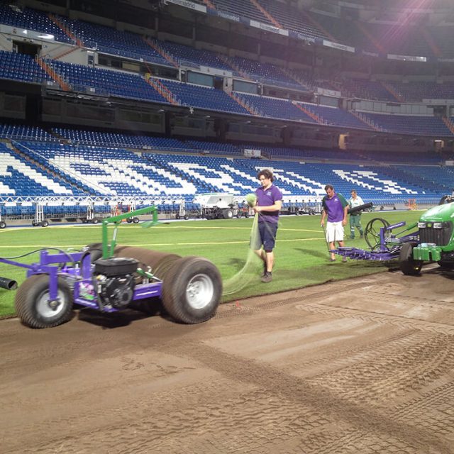 Real madrid,Natural turf, pitch, grass, sports