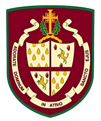 Presentation thurles academy