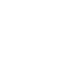 fifa quality pro logo