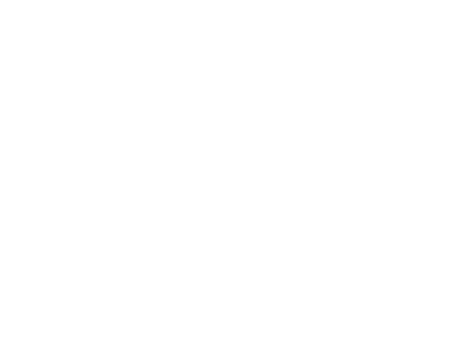 sport ireland logo